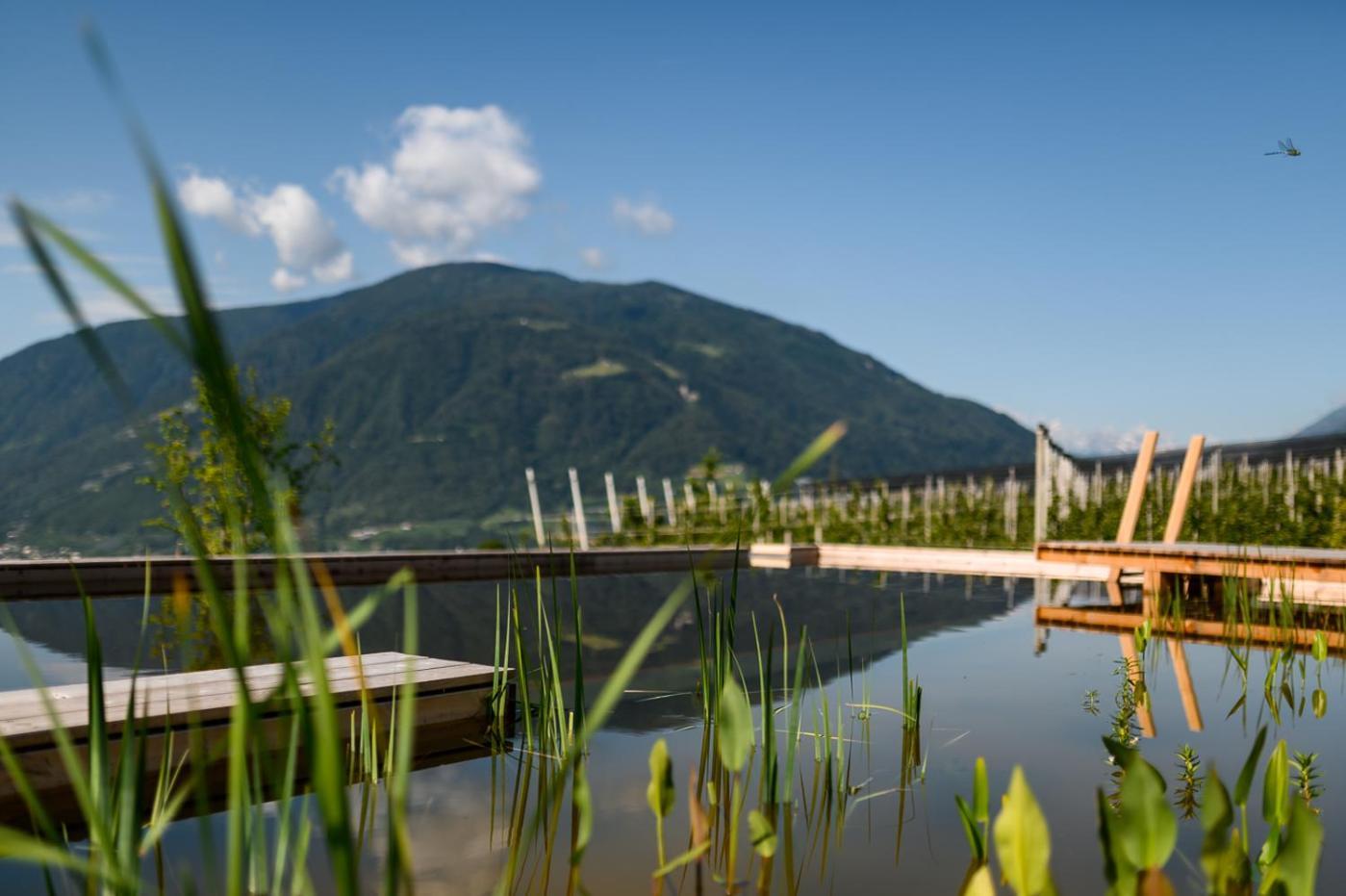 Pataunerhof Tirol Exterior foto